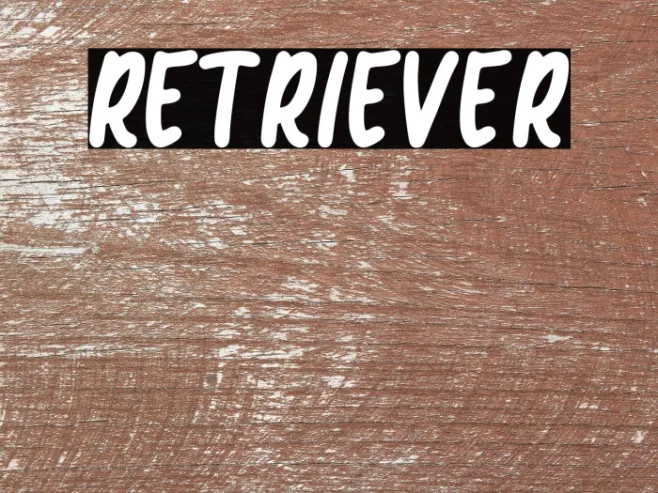 Retriever Example 3