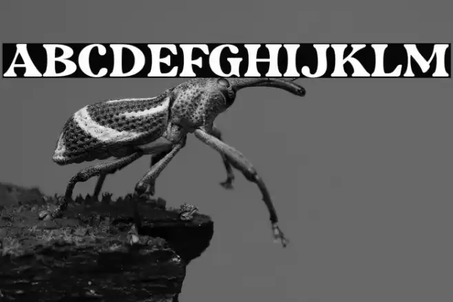 RetripsDEMO Font examples