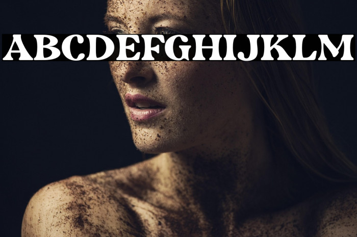 RetripsDEMO Example 2