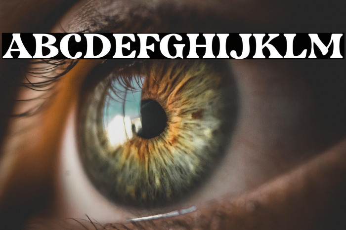 RetripsDEMO Example 3