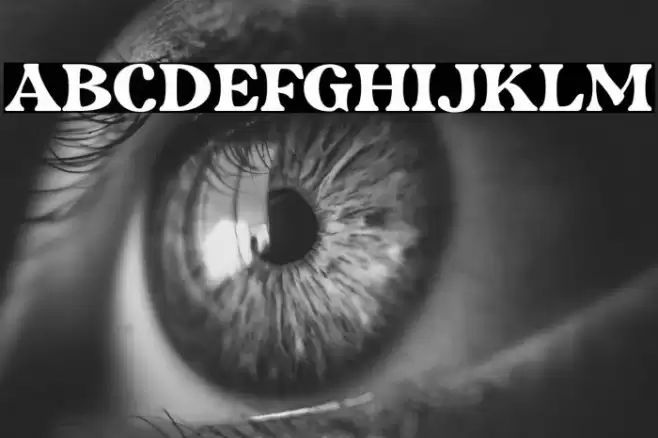 RetripsDEMO Font examples