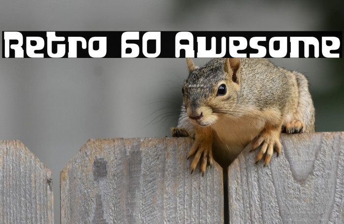 Retro 60 Awesome Example 1