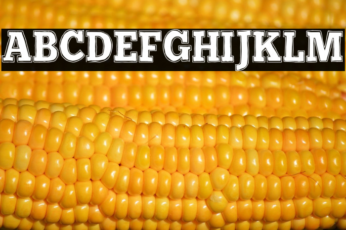 Retro Boulevard Example 1