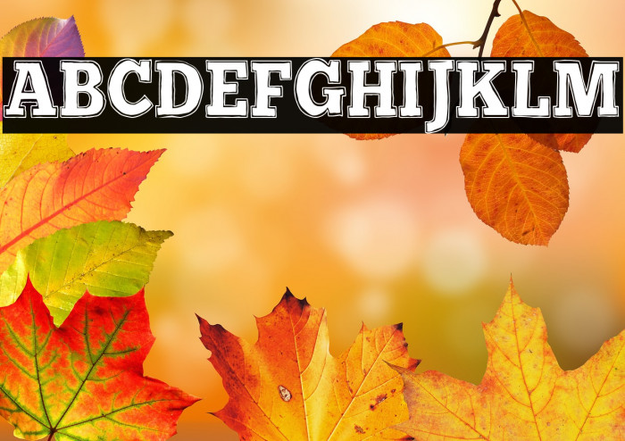 Retro Boulevard Example 2