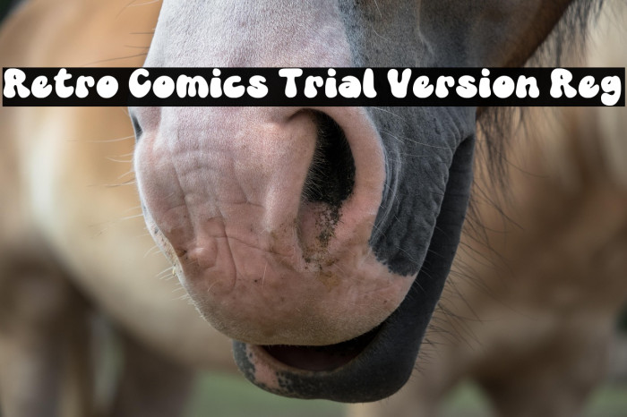 Retro Comics Trial Version Reg Font examples