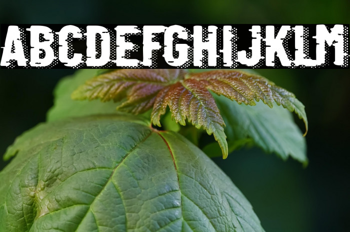 Retro Computer Example 1