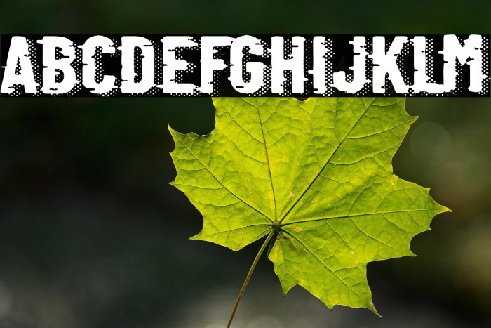 Retro Computer Example 3