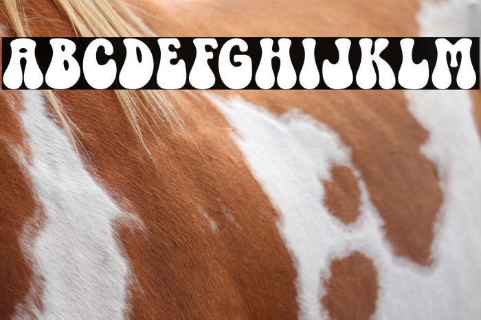 Retro Cookies Example 2