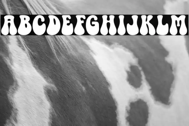 Retro Cookies Font examples