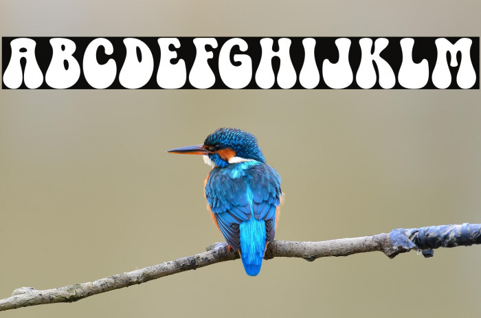 Retro Cookies Example 3