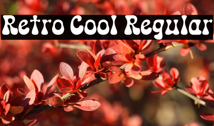 Retro Cool Regular Example 1
