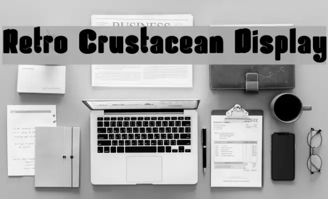 Retro Crustacean Display Font examples