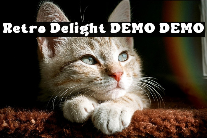 Retro Delight DEMO DEMO Example 1
