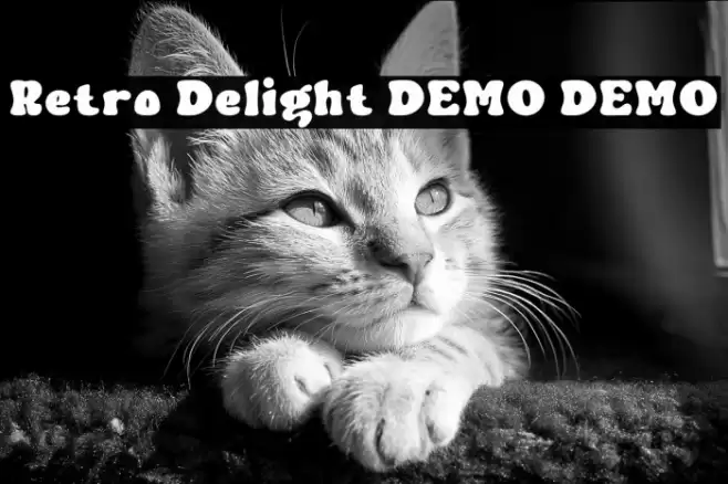Retro Delight DEMO DEMO Font examples