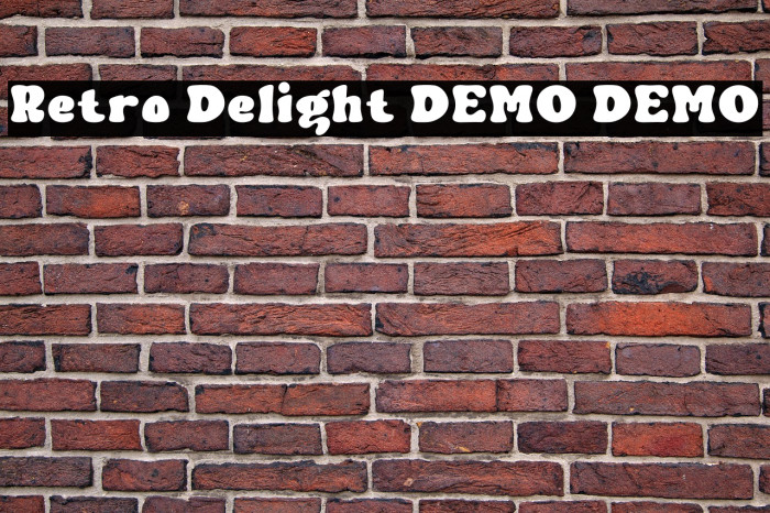 Retro Delight DEMO DEMO Example 2
