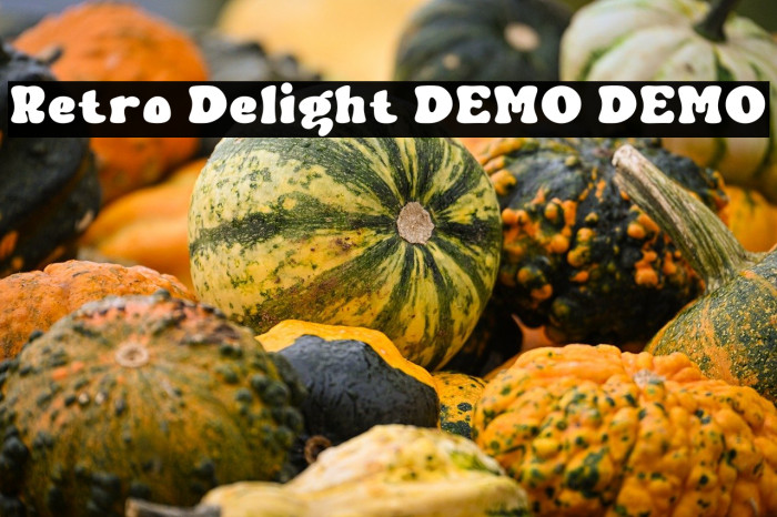 Retro Delight DEMO DEMO Example 3