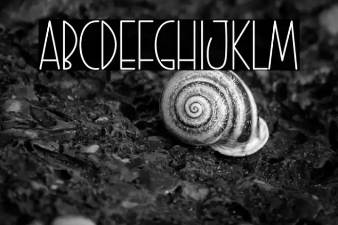 Retro Design Font examples