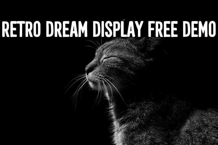 Retro Dream Display Free Demo Example 2