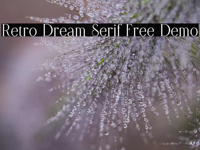 Retro Dream Serif Free Demo Example 1