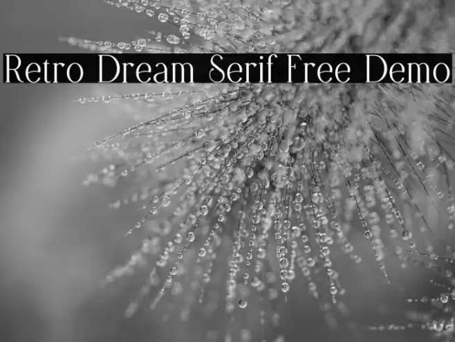Retro Dream Serif Free Demo Fuentes examples
