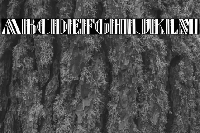 Retro Elite Font examples