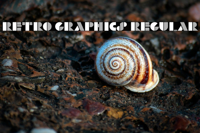 Retro Graphics Regular Example 1