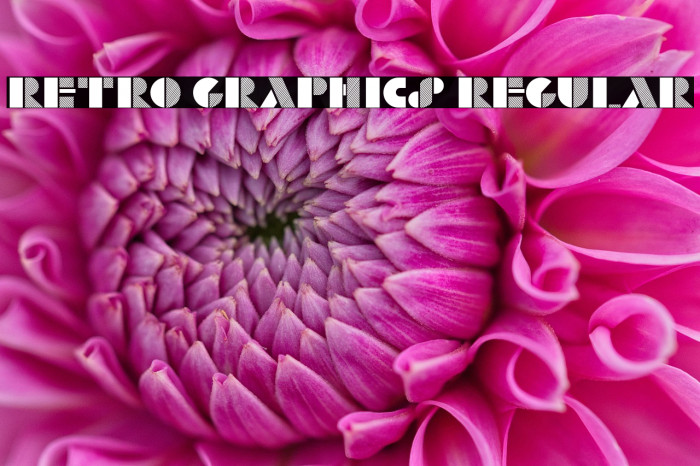 Retro Graphics Regular Example 3