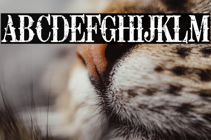 Retro Grunge West Example 1