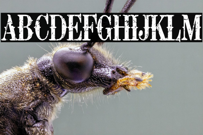 Retro Grunge West Example 2