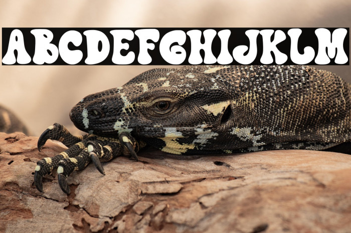 Retro Impact Example 1