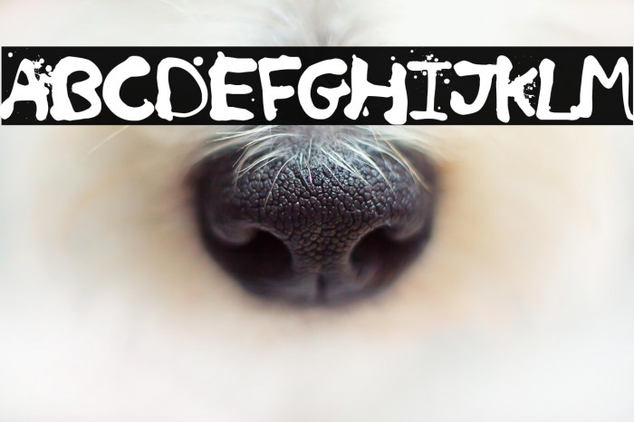 Retro Killer Example 3