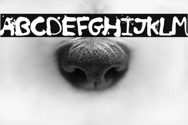 Retro Killer Font examples