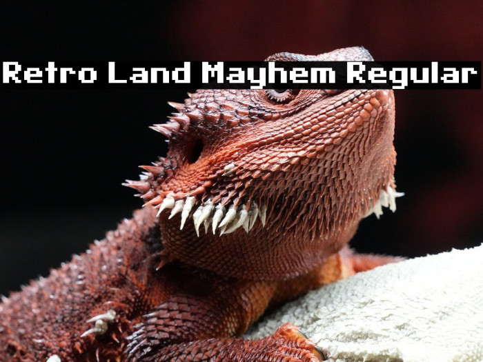 Retro Land Mayhem Regular Example 3