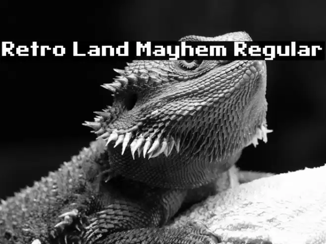 Retro Land Mayhem Regular Font examples