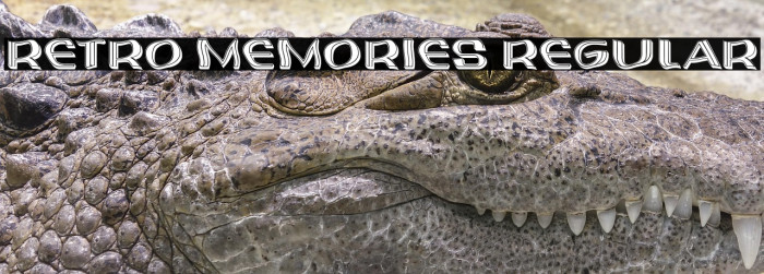 Retro Memories Regular Example 2