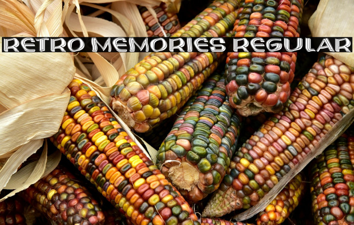 Retro Memories Regular Example 3