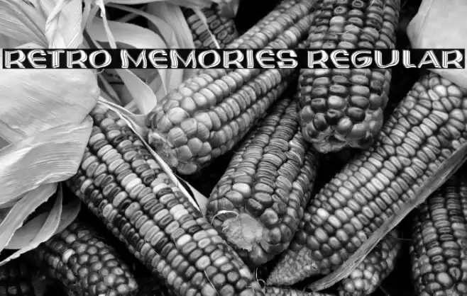 Retro Memories Regular Font examples