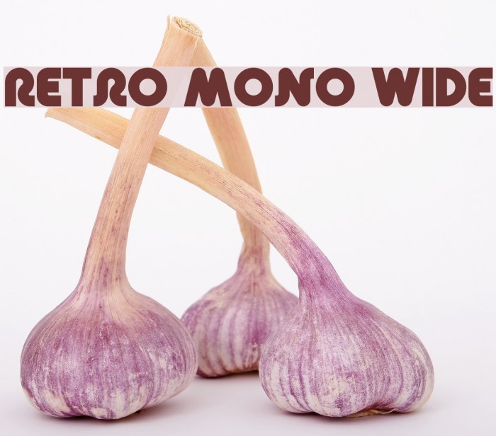 Retro Mono Wide Font examples