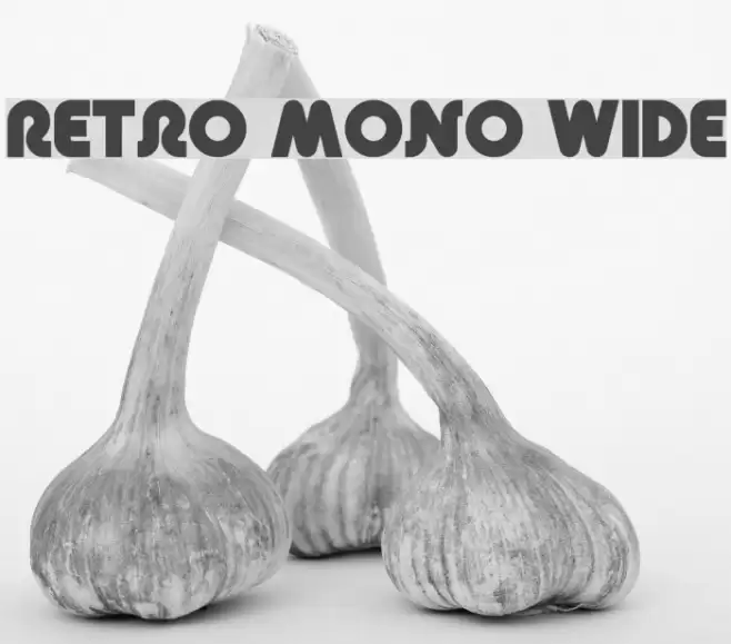 Retro Mono Wide Font examples