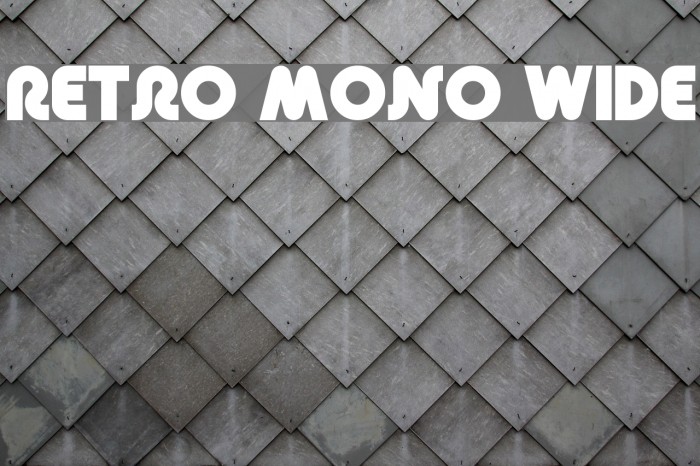Retro Mono Wide Font examples