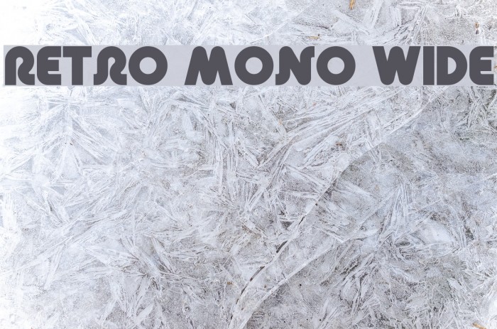 Retro Mono Wide Font examples