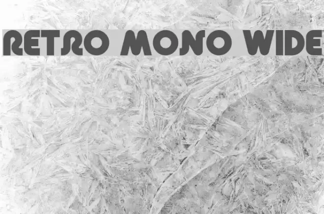 Retro Mono Wide Font examples