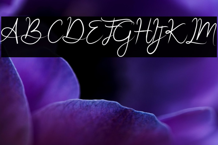 Retro Monogram Example 3