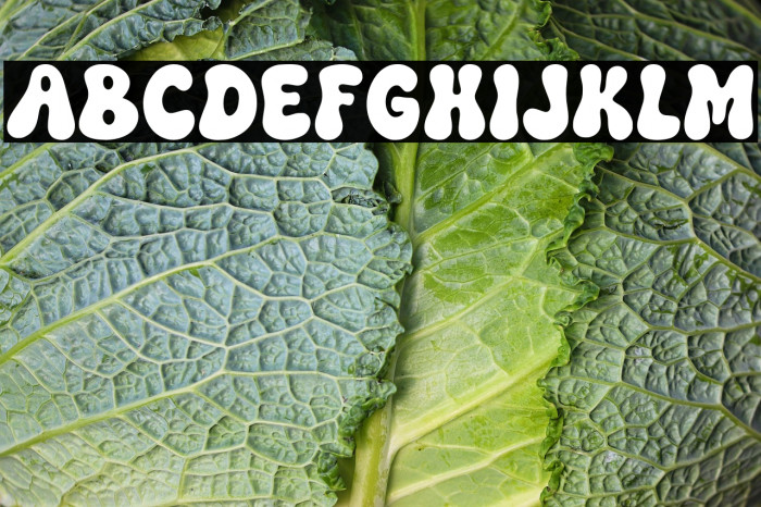 Retro Mother Regular Example 2