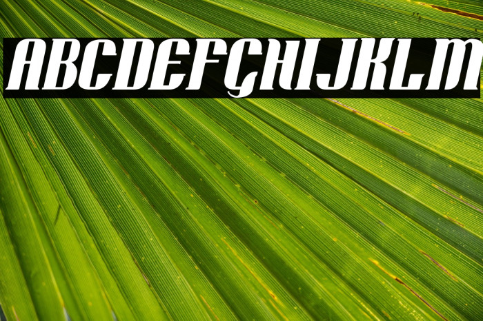 Retro Remembers Italic Example 1