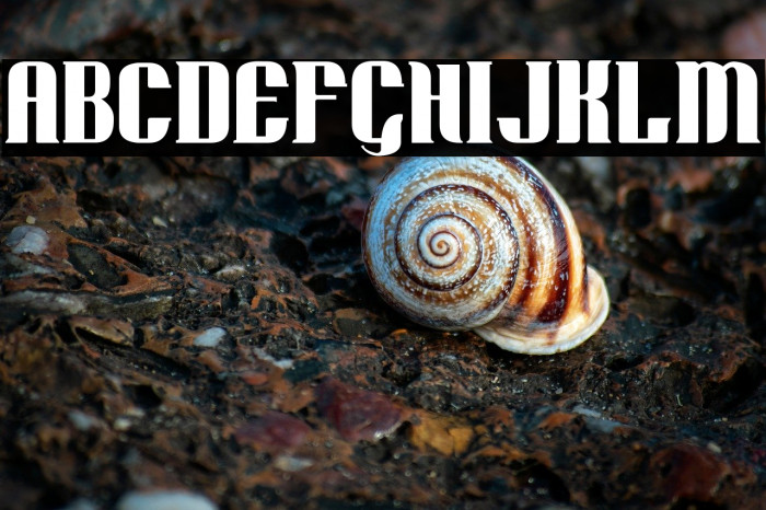 Retro Remembers Example 1