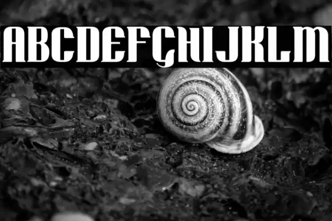 Retro Remembers خط examples