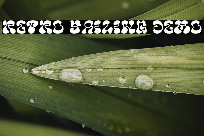 Retro Sailing DEMO Example 2