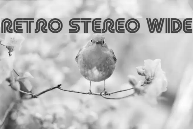 Retro Stereo Wide Font examples