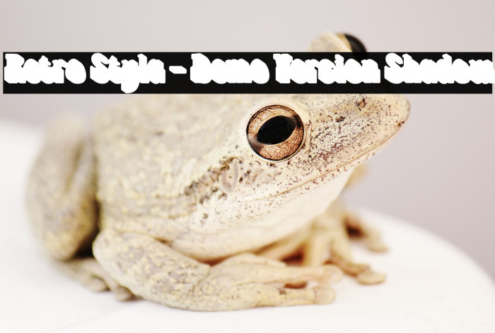 Retro Styla - Demo Version Shadow Example 1